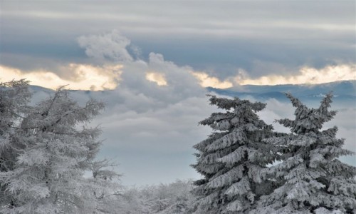 Zdjecie POLSKA / Beskid Sdecki / Jaworzyna Krynicka / zima w Beskidach