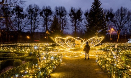 Zdjcie POLSKA / pomorskie / Park Oliwski / zauroczenie