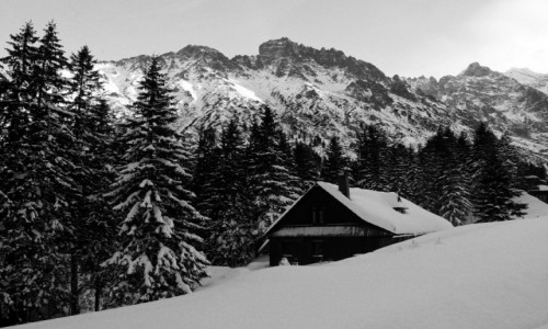 Zdjcie POLSKA / Tatry / Okolice lebu andarmerii / Przysypana chatka