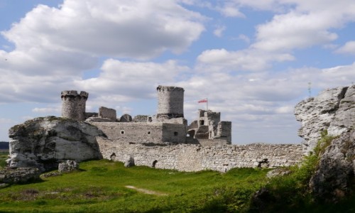 Zdjecie POLSKA / - / Ogrodzieniec / zamek