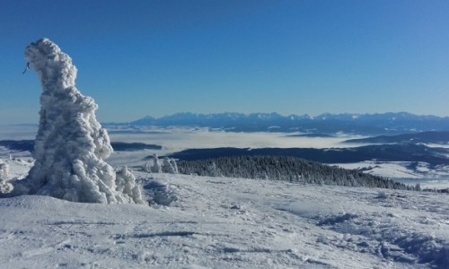 Zdjecie POLSKA / Beskid ywiecki / Pilsko / ostatni dzie 2016 :)