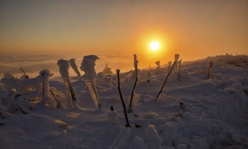Zdjecie POLSKA / Bieszczady / Poonina Caryska / Dzie dobry
