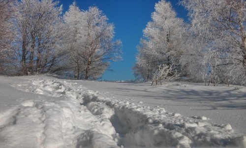 Zdjcie POLSKA / beskid  / okolice kiczery / Bajkowa zima