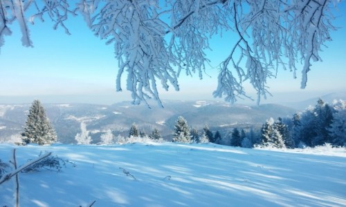 Zdjcie POLSKA / beskid  / okolice kiczery / zamarznity a zarazem pikny Beskid May