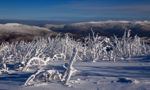 Zdjecie POLSKA / Bieszczady / Bieszczady / Bieszczady zim....