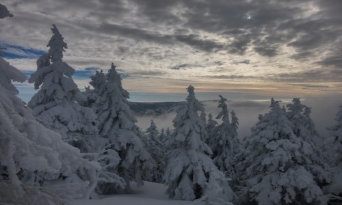 Zdjecie POLSKA / karkonosze / nienik / zimowe klimaty