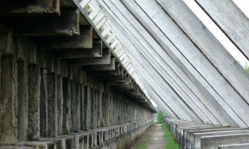 Zdjęcie POLSKA / kujawsko pomorskie / Ciechocinek / Śieżka pod podporami tężni.
