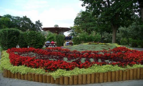 Zdjęcie POLSKA / kujawsko pomorskie / Ciechocinek / Dywany kwiatowe pod Grzybkiem