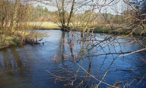 Zdjęcie POLSKA / Łódzkie / Wawrzkowizna / Rozlewisko rzeki Rakówki