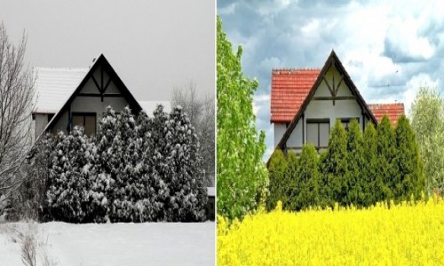 Zdjecie POLSKA / opolskie / Groszowice / Zima&Lato