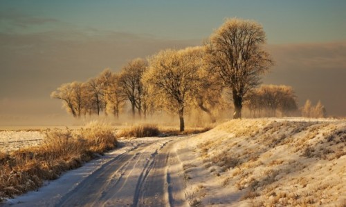 Zdjecie POLSKA / Warmia  / Braniewo  / zima 