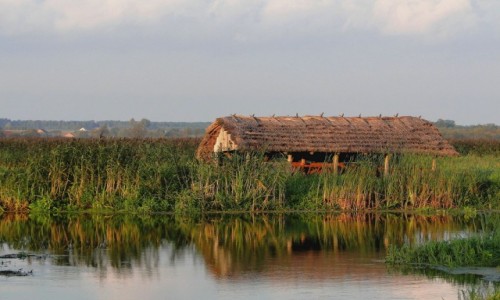 Zdjecie POLSKA / Podlasie / Waniewo / W dolinie Narwi.