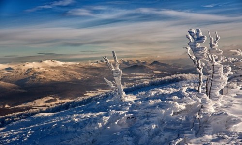 Zdjecie POLSKA / Bieszczady / Bieszczady / Na bieszczadzkim szlaku...Rawki :)