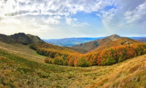 Zdjecie POLSKA / Bieszczady / Połonina Caryńska / Całe nasze Bieszczady