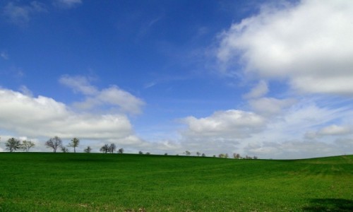 Zdjecie POLSKA / Podlasie / gdzie na Podlasiu / Z serii: obrazki z Podlasia