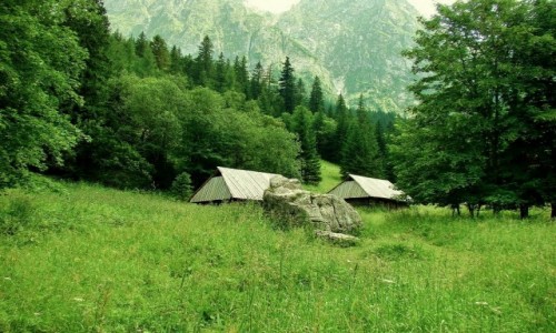 Zdjecie POLSKA / wojewdztwo maopolskie / Tatry / Polana Stryska