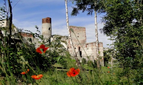 Zdjecie POLSKA / Jura Krakowsko-Czstochowska / Olsztyn k/Czstochowy / Ruiny zamku Olsztyn