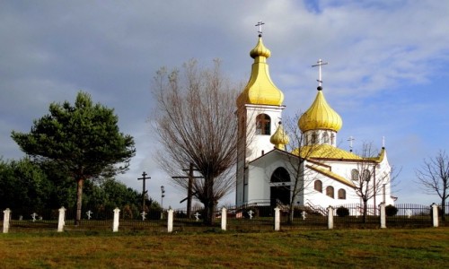 Zdjęcie POLSKA / Podlasie / Czarna Bialostocka / Z serii: obrazki z Podlasia