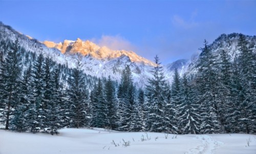 Zdjęcie POLSKA / Małopolska / Dolina Kościeliska / Świetlista góra
