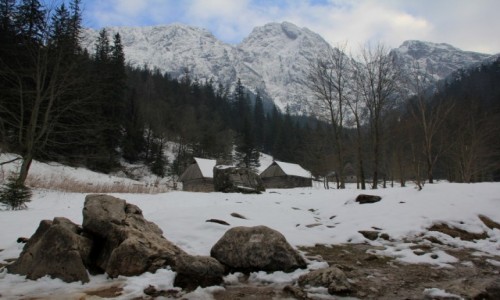 Zdjęcie POLSKA / Tatry / Dolina Strążyska / Z Giewontem w tle