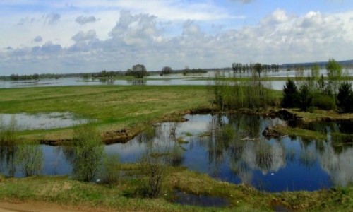 Zdjęcie POLSKA / Podlasie / Bronowo / Z serii: obrazki z Podlasia