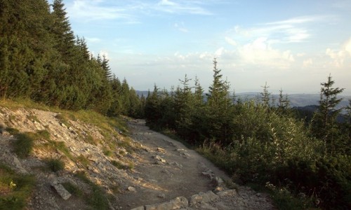 Zdjęcie POLSKA / Tatry / W drodze na Granaty / O świacie