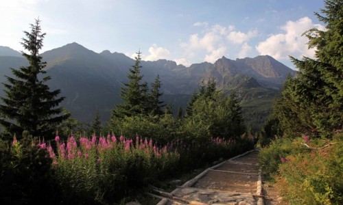 Zdjęcie POLSKA / Tatry / W drodze na Granaty / Na szlaku