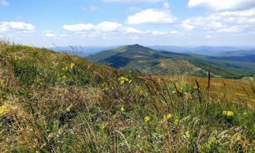 Zdjcie POLSKA / Bieszczady / Poonina Wetliska / Lato w Bieszczadach.