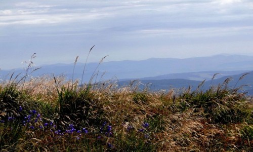Zdjcie POLSKA / Bieszczady /   / Gdzie w Bieszczadach.