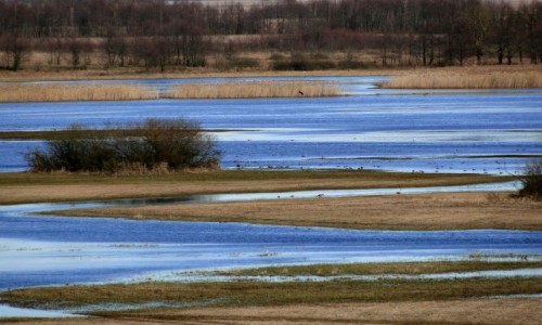 Zdjcie POLSKA / Podlasie / dolina Biebrzy / Z serii: obrazki z Podlasia