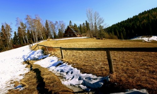Zdjcie POLSKA / Beskid ywiecki /  polana Przysop / Bacwka na Maciejowej