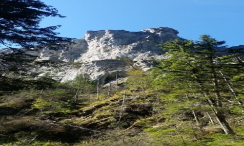 Zdjecie POLSKA / Zakopane / Dolina Kocieliska / Krajobraz