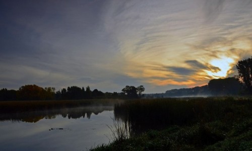 Zdjecie POLSKA / Mazowsze / Narew / Poranne zmysy...