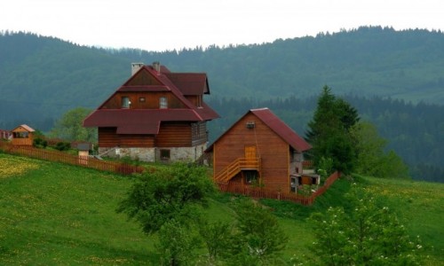 Zdjcie POLSKA / lskie / Beskid / Domki w grach