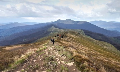 Zdjecie POLSKA / Podkarpackie / Bieszczady / Na pooninach