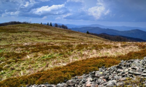 Zdjcie POLSKA / Podkarpackie / Bieszczady / W drodze na Smerek