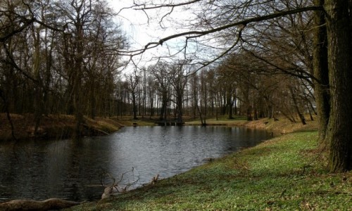 Zdjęcie POLSKA / opolskie / Radawie / Park przypałacowy