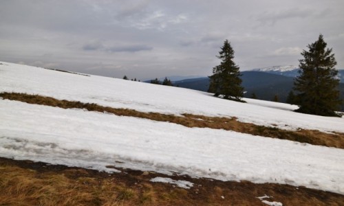 Zdjcie POLSKA / Beskid ywiecki / Hala Rysianka / Beskidzkie przedwionie