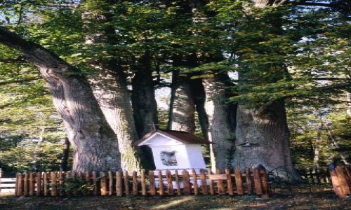 Zdjecie POLSKA / Bieszczady / Bieszczady / Kapliczka