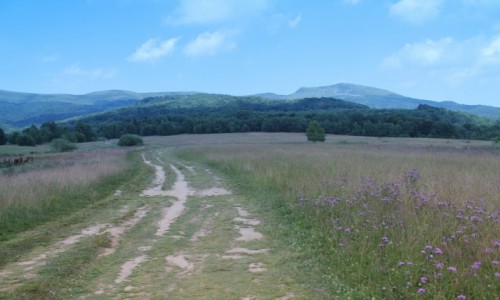 Zdjęcie POLSKA / Bieszczady / Wołosate / Polana
