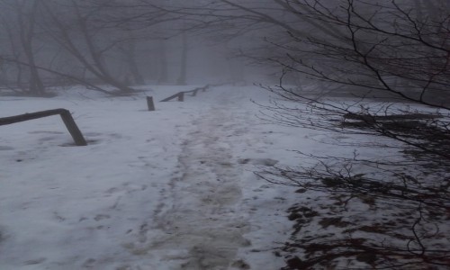 Zdjecie POLSKA / Bieszczady / Maa Rawka / Wiosenne przecieranie szlaku