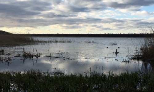 Zdjęcie POLSKA / Pomorze / Nowecin / Jezioro Sarbsko