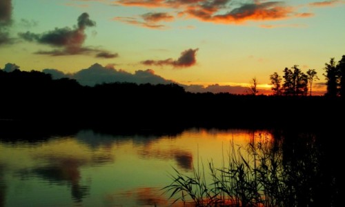 Zdjecie POLSKA / Mazury / Kisajno / Kaczka na niebie?