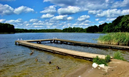 Zdj�cie POLSKA / wojew�dztwo warmi�sko-mazurskie / Wejsuny / Jezioro Wejsunek