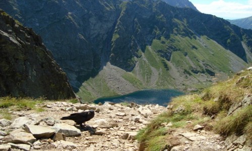 Zdjecie POLSKA / Tatry / Wrota Chaubiskiego / Wrota Chaubiskiego4