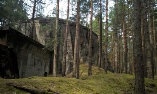 Zdjęcie POLSKA / Lubuskie / Kombinat DAG Alfred Nobel Krzystkowice / ICAN4x4