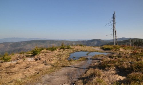 Zdjcie POLSKA / Beskid lski / Malinowska Skaa / Zejcie do Ostrego