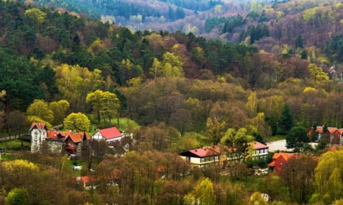 Zdjecie POLSKA / Pomorze / Gdask-Oliwa / Widok z Pachoka na star Oliw