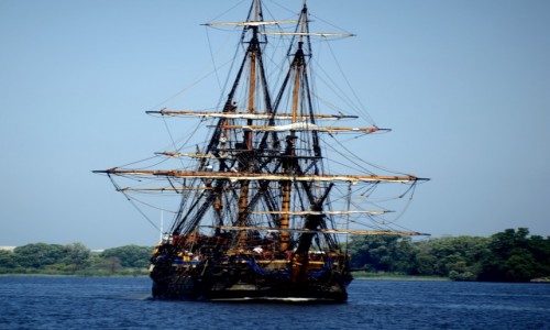 Zdjęcie POLSKA / Zachodniopomorskie / Szczecin / Zlot Żaglowców