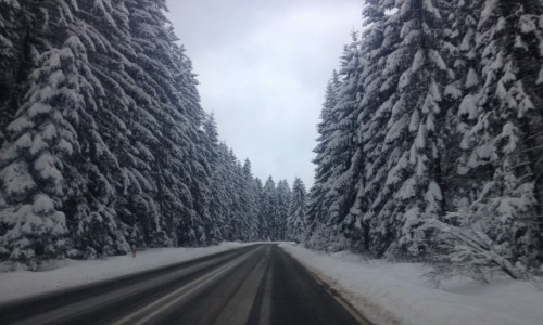 Zdjecie POLSKA / Maopolska / Zakopane / Gdzie pomidzy Zakopanem i Chopokiem